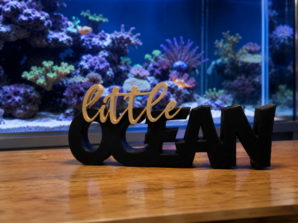 little ocean 4